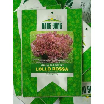 Giống Xà Lách Tím LOLLO ROSA